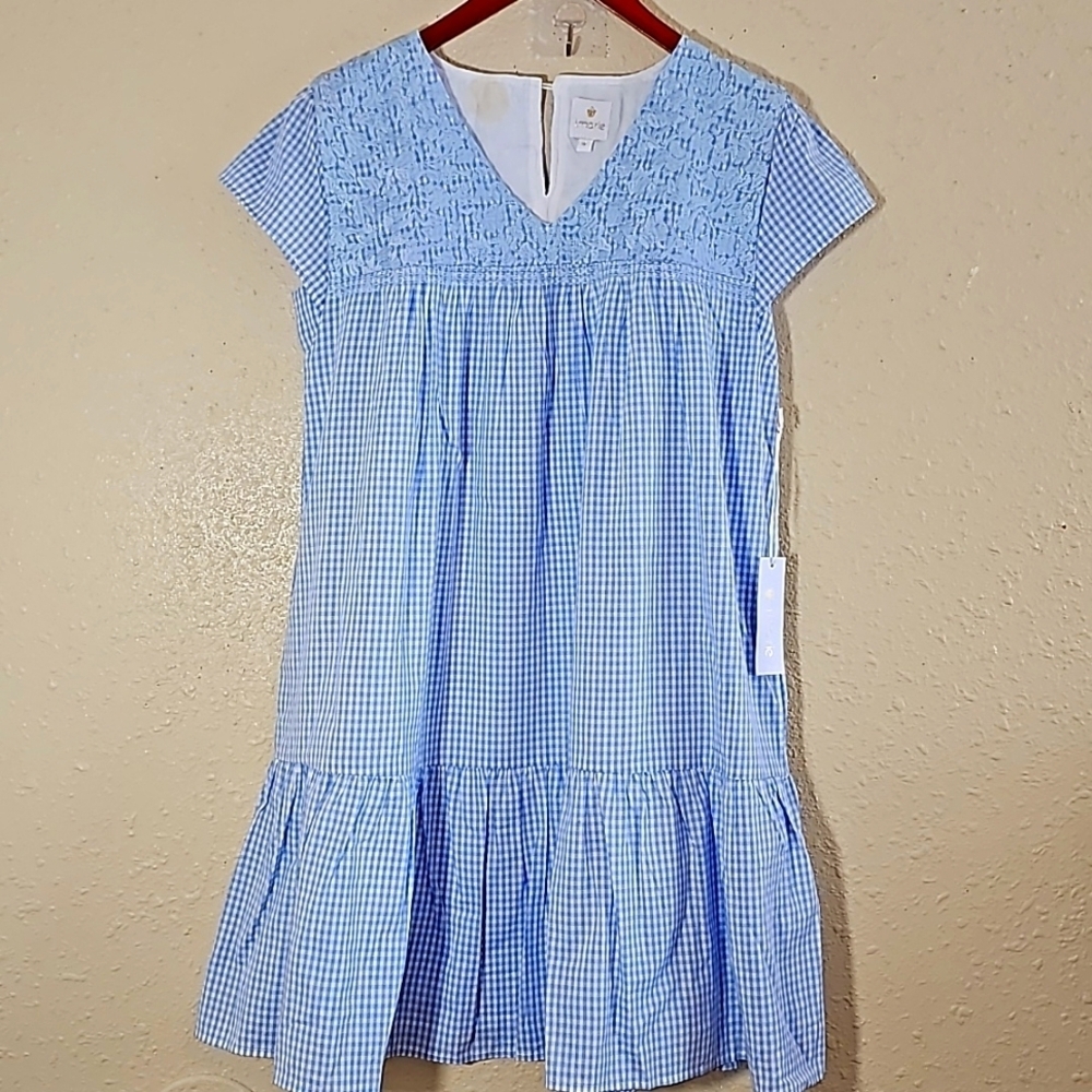 J Marie Blue Plaid Embroidered Mini Dress
